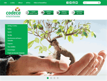 Tablet Screenshot of codeca.com.br